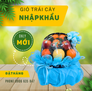 Giỏ trái cây G16