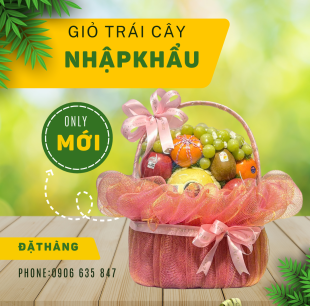 Giỏ trái cây G8