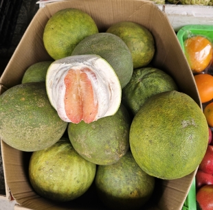 Bưởi lão da xanh
