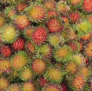 Chôm chôm thái 