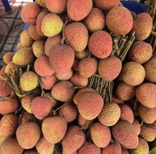 Vải