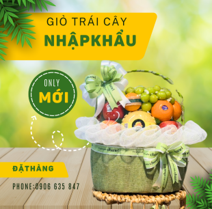 Giỏ trái cây G9