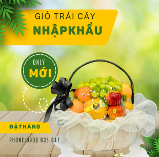 Giỏ trái cây G11