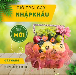 Giỏ trái cây G13