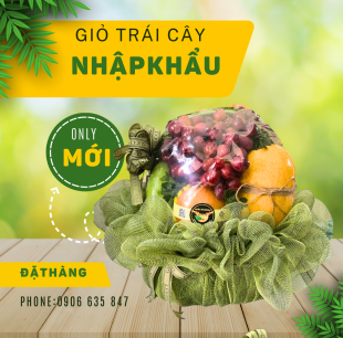 Giỏ trái cây G14