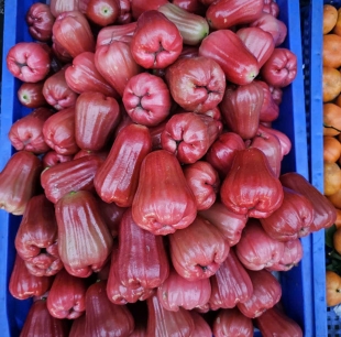 mận an phước