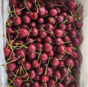 cherry