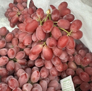 nho đỏ crimson