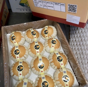 Lê hàn