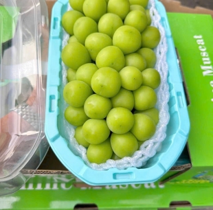 Nho mẫu đơn