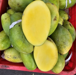 xoài keo